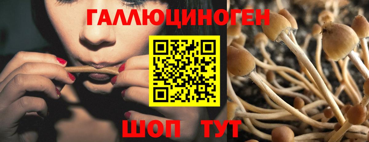 Галлюциногенные грибы мицелий Отрадное